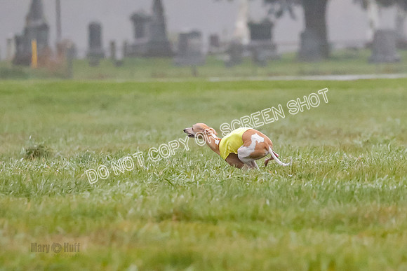 Prelim, Open 3, W, Katana-Aerie-Clark -0611