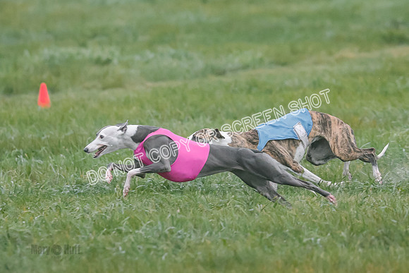 Prelim, Specials 2, W, Asher-Laina-Halima-0893