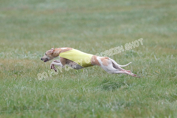 Prelim, Open 3, W, Katana-Aerie-Clark -0601