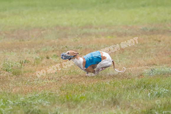 Prelim, Open 2, W, Scotty-Scarlet-Spock-0530