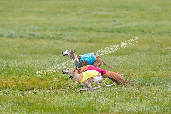 Prelim, Open 3, W, Katana-Aerie-Clark -0588