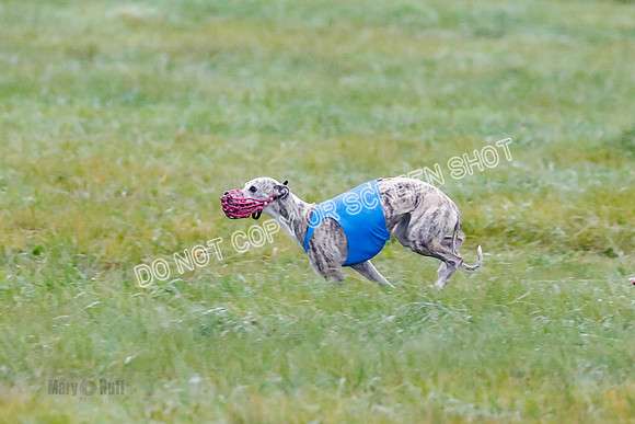 Prelim, Open 1, W, Britta-Booster-Clara-0449