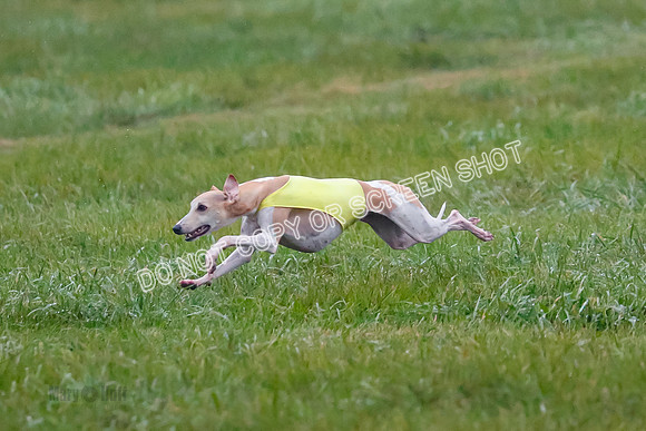 Prelim, Open 3, W, Katana-Aerie-Clark -0562