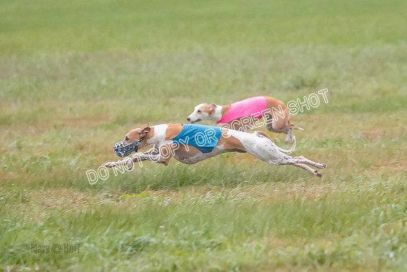 Prelim, Open 2, W, Scotty-Scarlet-Spock-0525