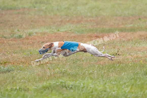 Prelim, Open 2, W, Scotty-Scarlet-Spock-0533