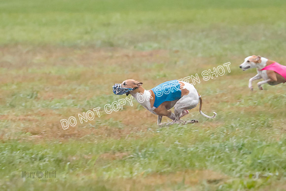 Prelim, Open 2, W, Scotty-Scarlet-Spock-0527