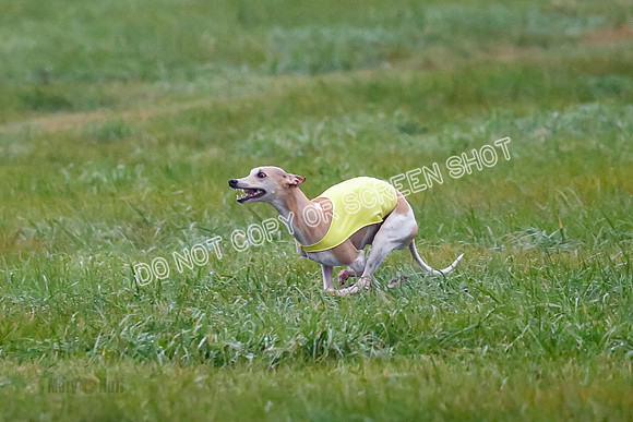 Prelim, Open 3, W, Katana-Aerie-Clark -0560