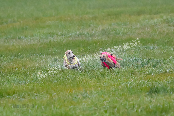 Prelim, Open 3, W, Katana-Aerie-Clark -0548