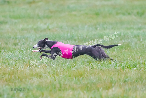 Prelim, Open 4, W, Tie Dye-Voodoo-S'More-0653