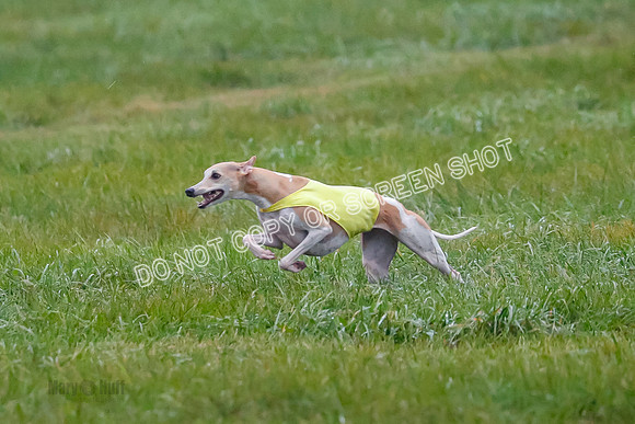 Prelim, Open 3, W, Katana-Aerie-Clark -0561