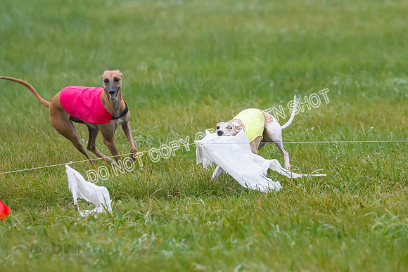 Prelim, Open 3, W, Katana-Aerie-Clark -0575