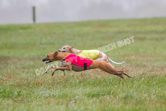 Prelim, Open 3, W, Katana-Aerie-Clark -0617