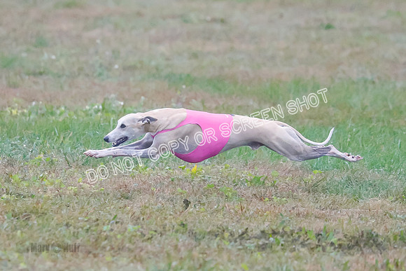 Prelim, Open 7, W, Splash-Java-0806