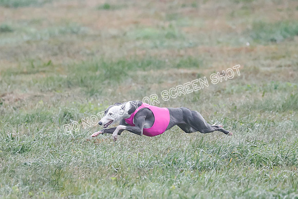 Prelim, Specials 2, W, Asher-Laina-Halima-0943