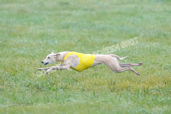 Prelim, Open 7, W, Splash-Java-0784