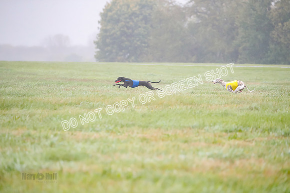 Prelim, Open 6, W, Fern-Akela -0724