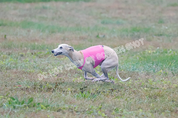Prelim, Open 7, W, Splash-Java-0808