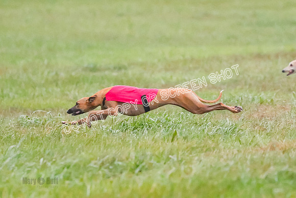 Prelim, Open 3, W, Katana-Aerie-Clark -0626
