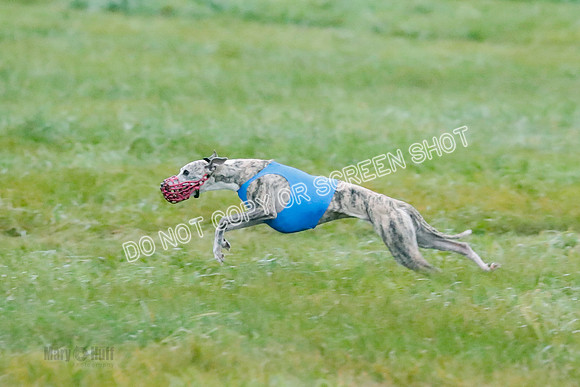 Prelim, Open 1, W, Britta-Booster-Clara-0447