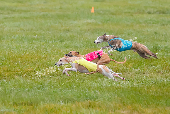 Prelim, Open 3, W, Katana-Aerie-Clark -0593