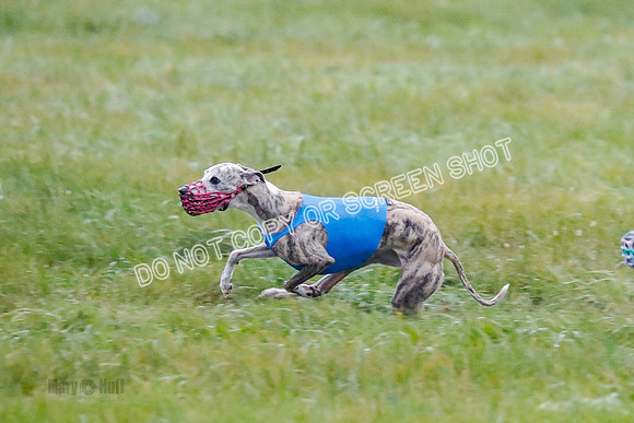 Prelim, Open 1, W, Britta-Booster-Clara-0453