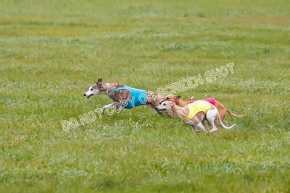 Prelim, Open 3, W, Katana-Aerie-Clark -0586
