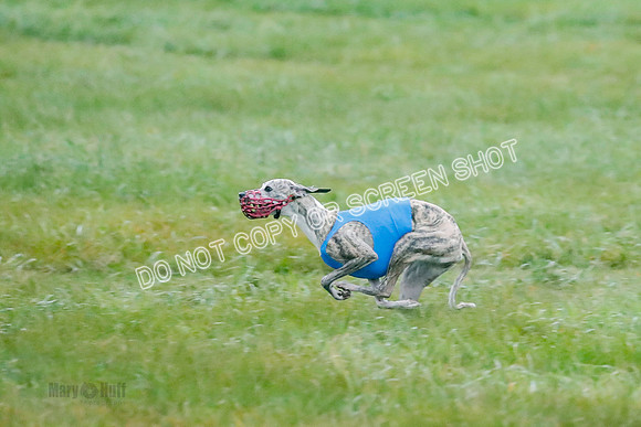 Prelim, Open 1, W, Britta-Booster-Clara-0446