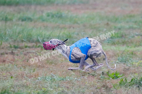 Prelim, Open 1, W, Britta-Booster-Clara-0485