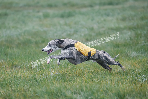 Prelim, Specials 2, W, Asher-Laina-Halima-0899