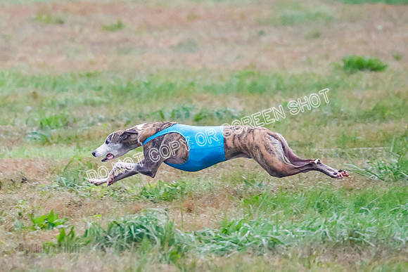 Prelim, Open 3, W, Katana-Aerie-Clark -0633