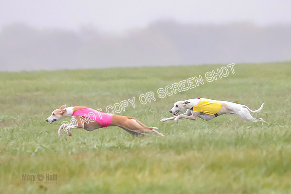 Prelim, Open 2, W, Scotty-Scarlet-Spock-0514