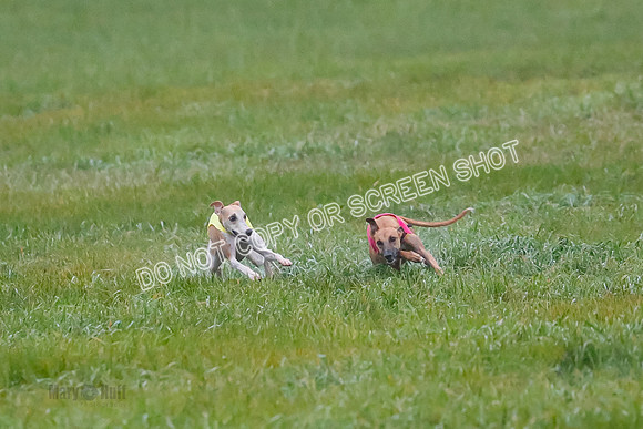 Prelim, Open 3, W, Katana-Aerie-Clark -0547