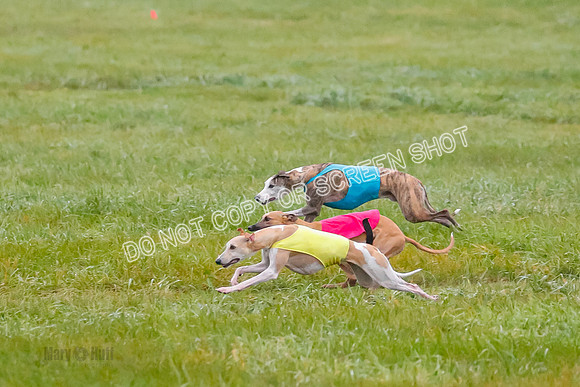 Prelim, Open 3, W, Katana-Aerie-Clark -0590