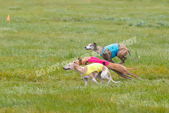 Prelim, Open 3, W, Katana-Aerie-Clark -0591