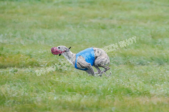 Prelim, Open 1, W, Britta-Booster-Clara-0445