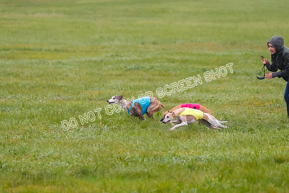 Prelim, Open 3, W, Katana-Aerie-Clark -0585
