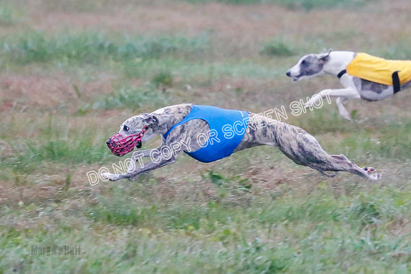 Prelim, Open 1, W, Britta-Booster-Clara-0479