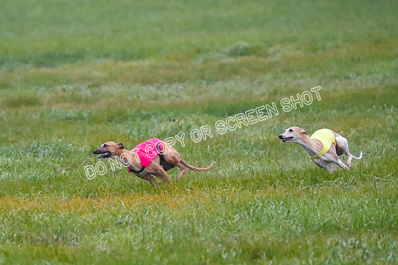 Prelim, Open 3, W, Katana-Aerie-Clark -0552