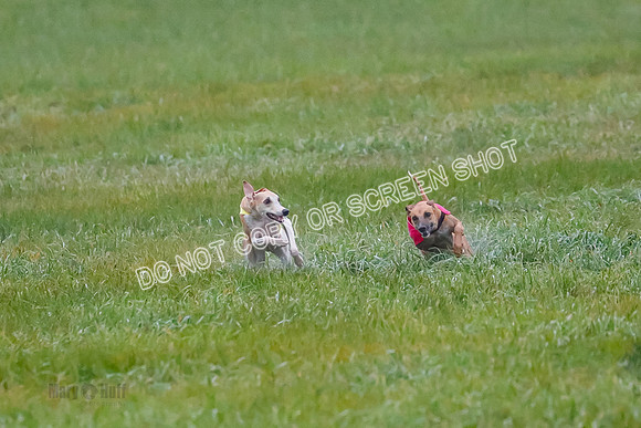 Prelim, Open 3, W, Katana-Aerie-Clark -0546