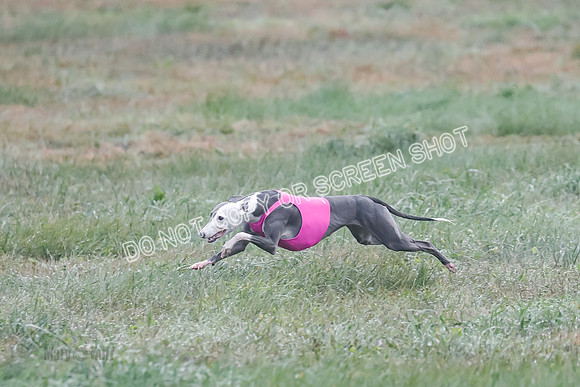 Prelim, Specials 2, W, Asher-Laina-Halima-0939