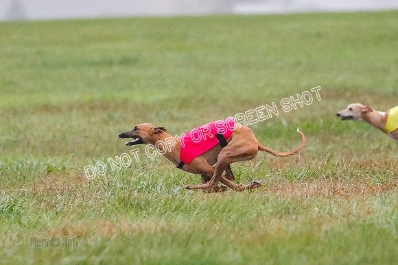 Prelim, Open 3, W, Katana-Aerie-Clark -0624