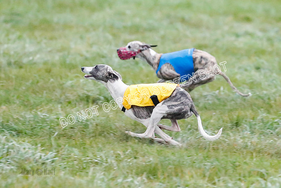 Prelim, Open 1, W, Britta-Booster-Clara-0469