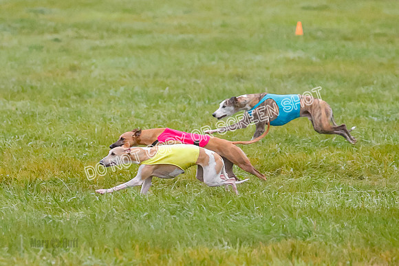 Prelim, Open 3, W, Katana-Aerie-Clark -0594