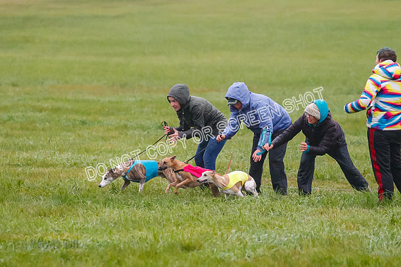 Prelim, Open 3, W, Katana-Aerie-Clark -0580