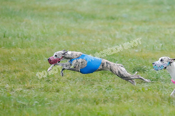 Prelim, Open 1, W, Britta-Booster-Clara-0454