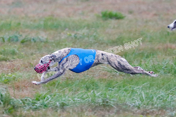 Prelim, Open 1, W, Britta-Booster-Clara-0483