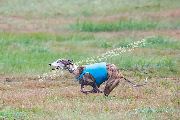 Prelim, Open 3, W, Katana-Aerie-Clark -0635