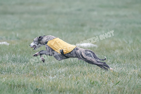 Prelim, Specials 2, W, Asher-Laina-Halima-0902
