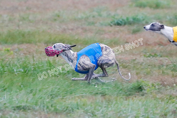 Prelim, Open 1, W, Britta-Booster-Clara-0481