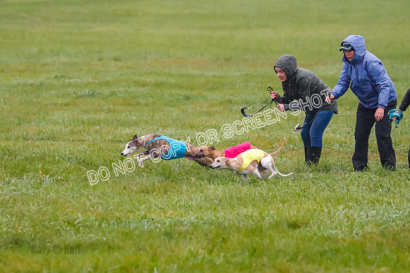 Prelim, Open 3, W, Katana-Aerie-Clark -0583